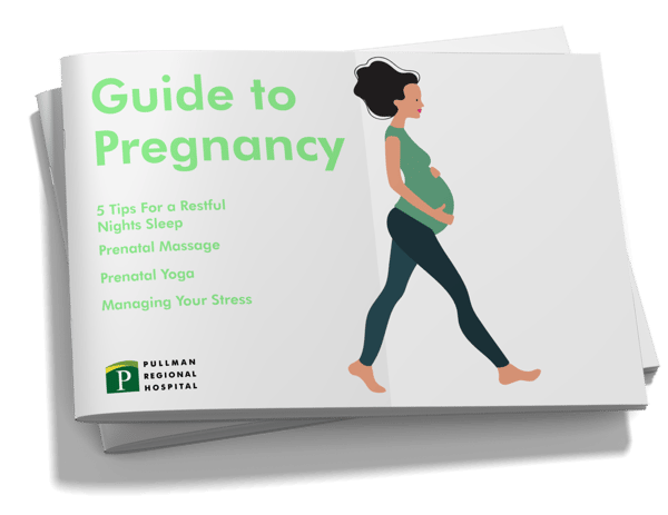 Guide To Pregnancy Download Cover Images-02