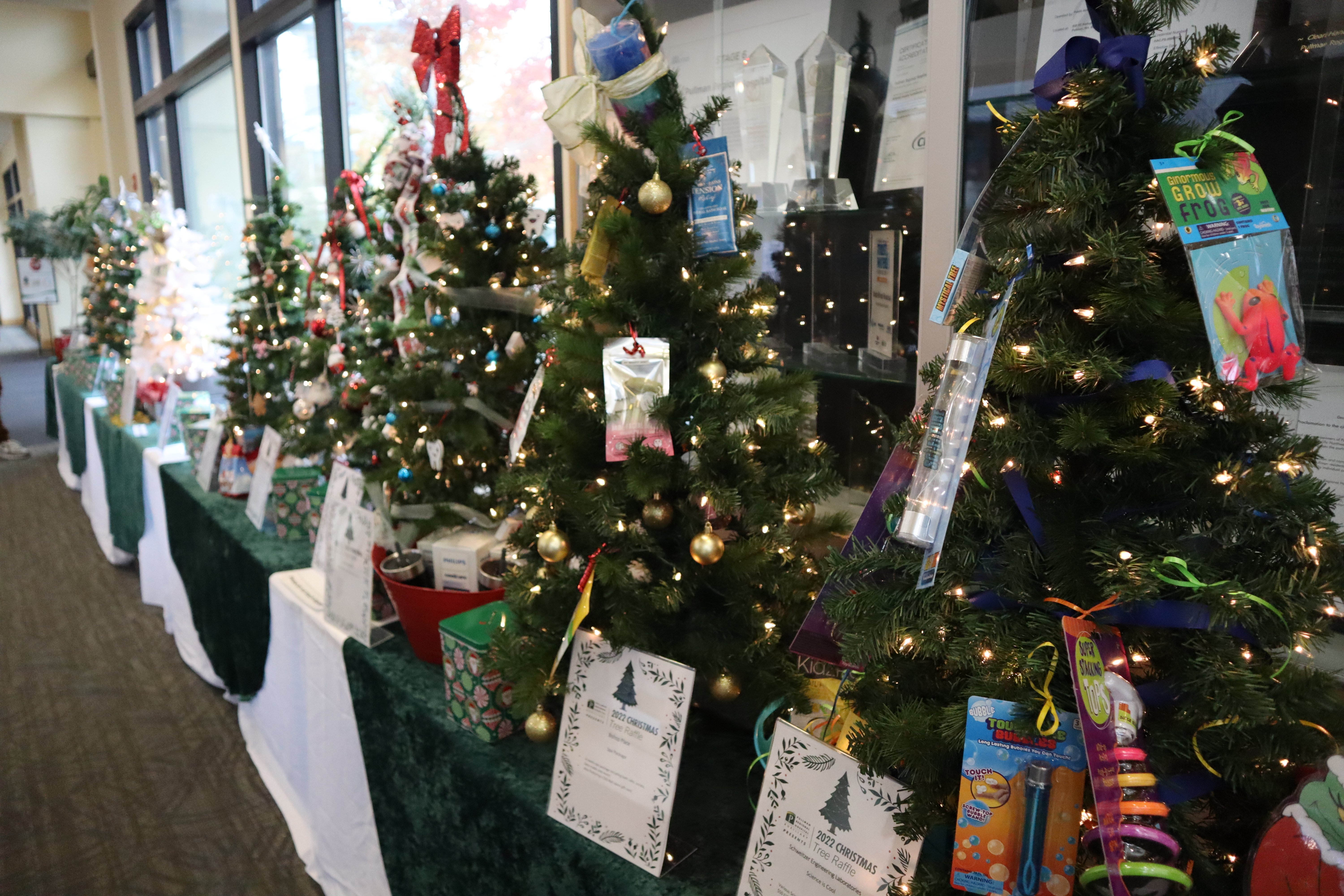 Pullman Regional Hospital Auxiliary Holds 17th Annual Christmas Tree Raffle