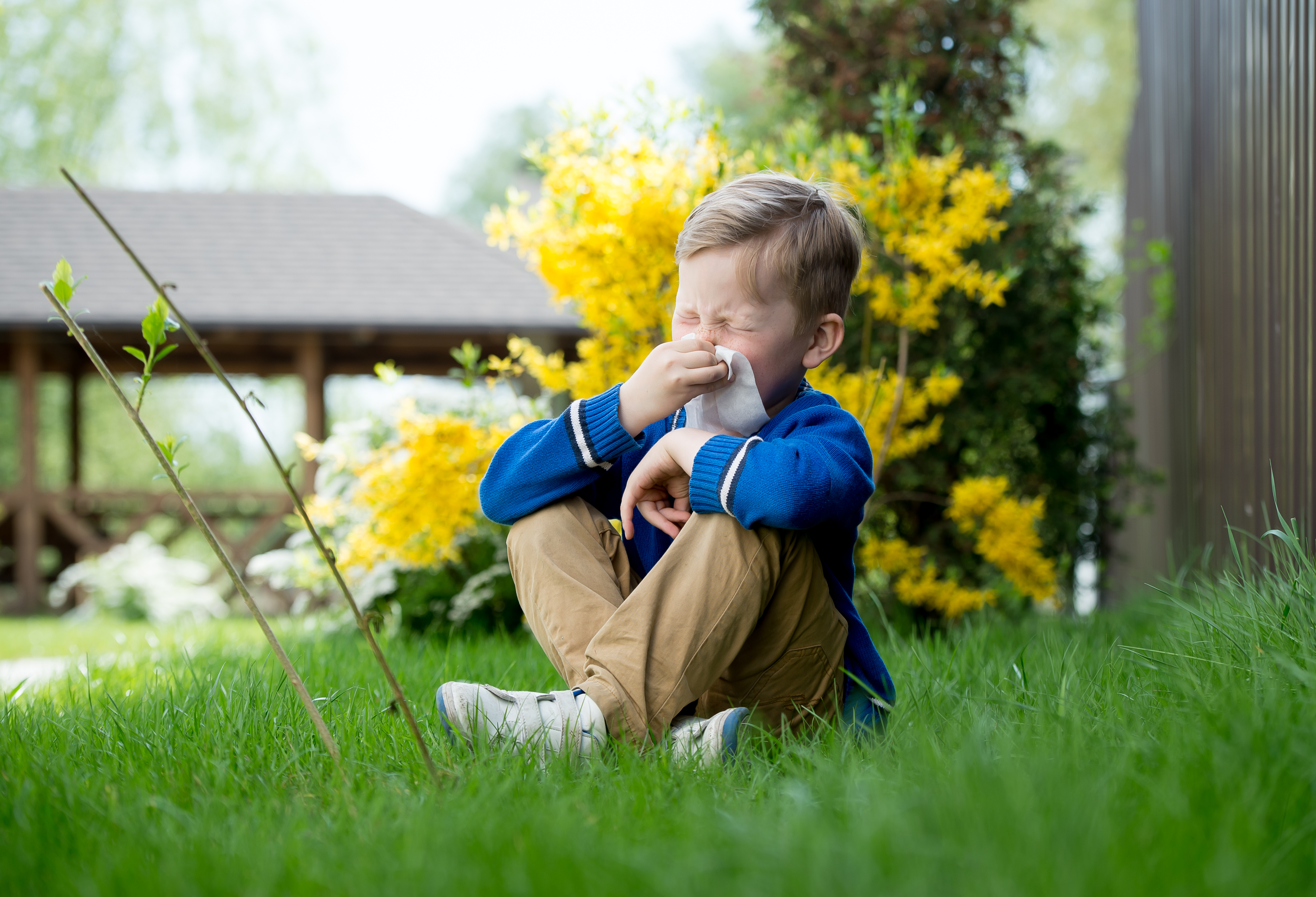 A parent's Guide to Navigating seasonal allergies